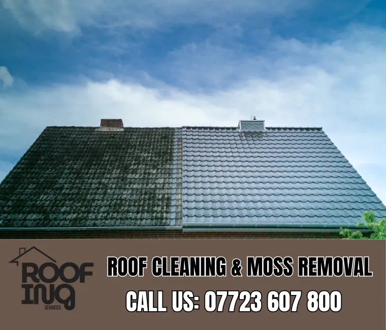 Roof cleaning and moss removal in Torpoint